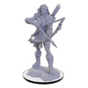pathfinder-deep-cuts-miniatures-wood-giant-3.jpg