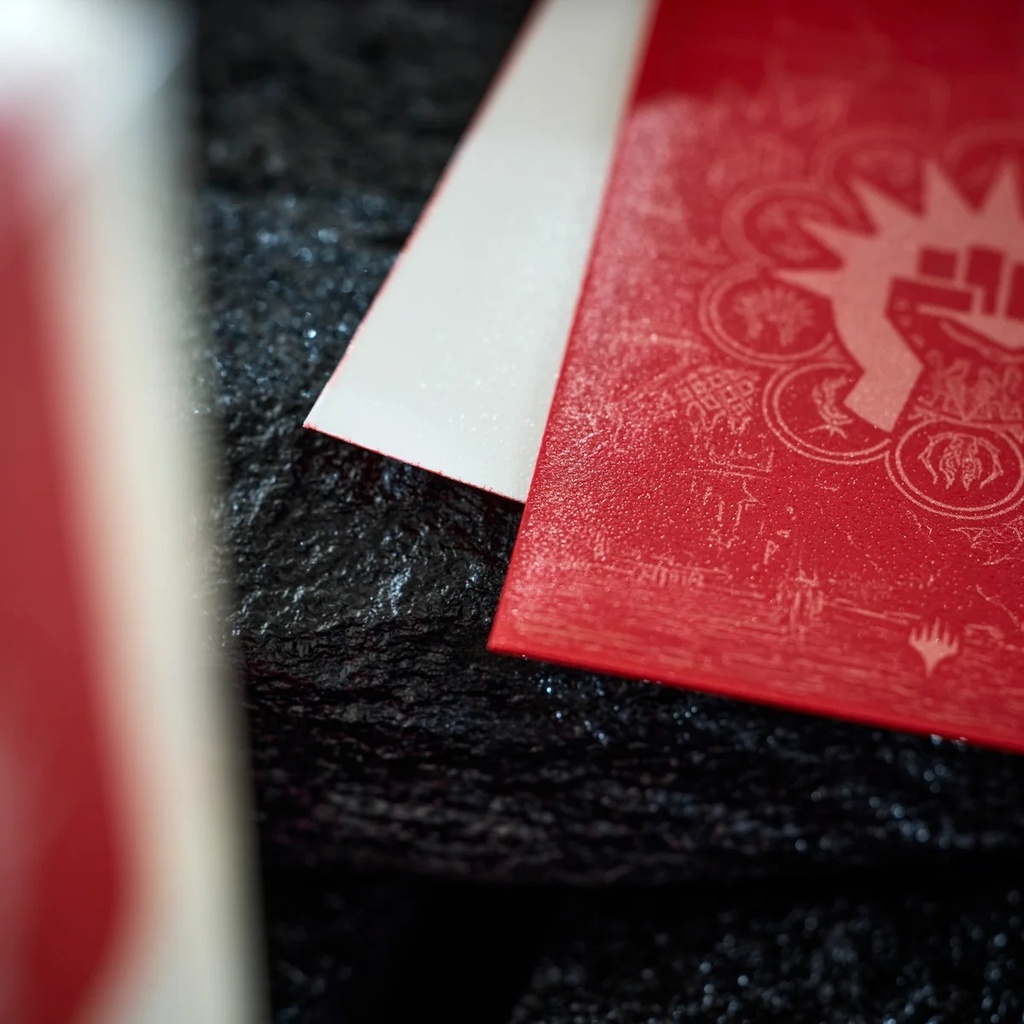 Official Dragon Shield image 3
