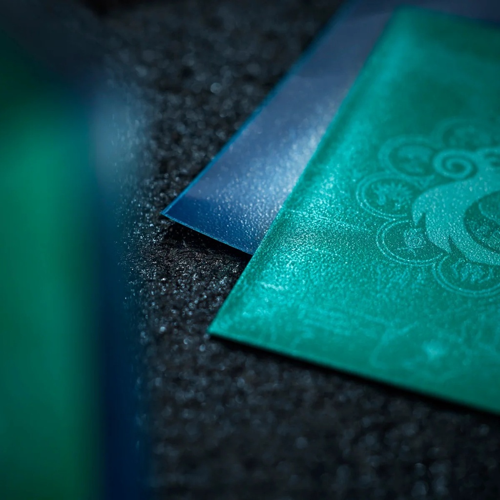 Official Dragon Shield image 3