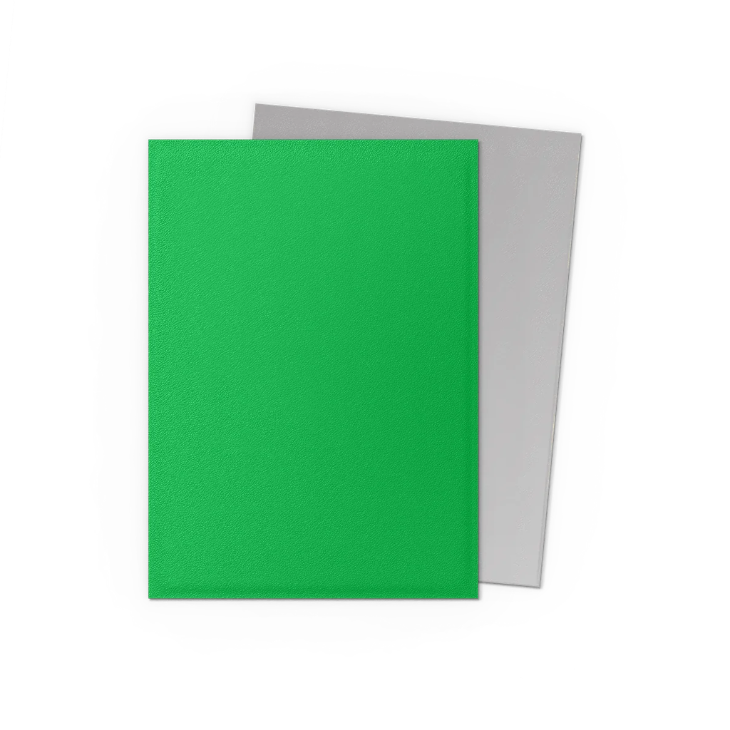 Official Dragon Shield image 2