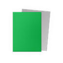 Official Dragon Shield image 2
