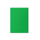 Official Dragon Shield image 4