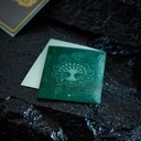 Official Dragon Shield image 2