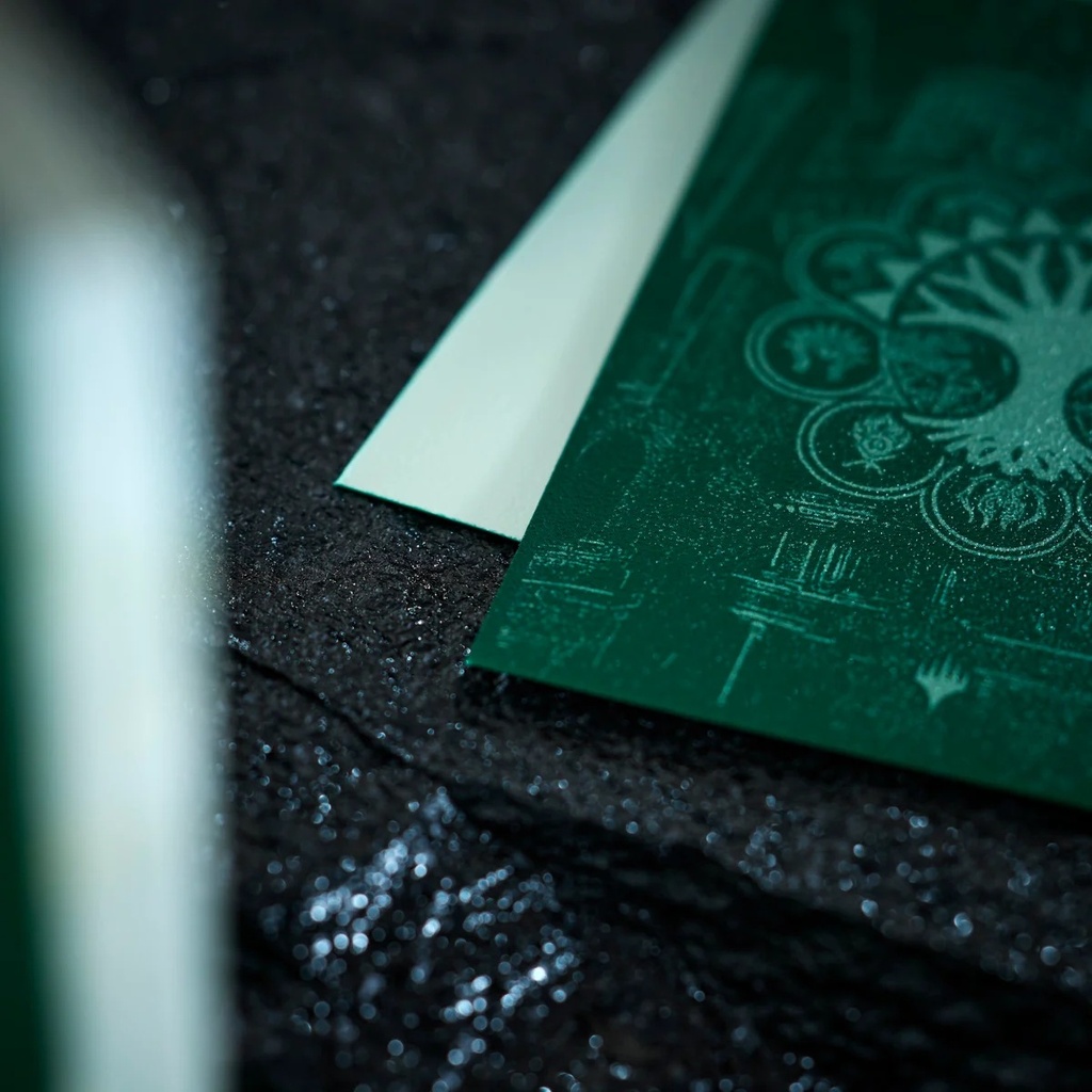 Official Dragon Shield image 3