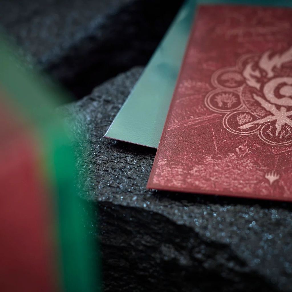Official Dragon Shield image 3