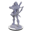 Pathfinder Deep Cuts Miniatures: Wood Giant